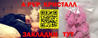 бошки Шелехов