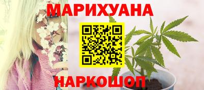 бошки Шелехов