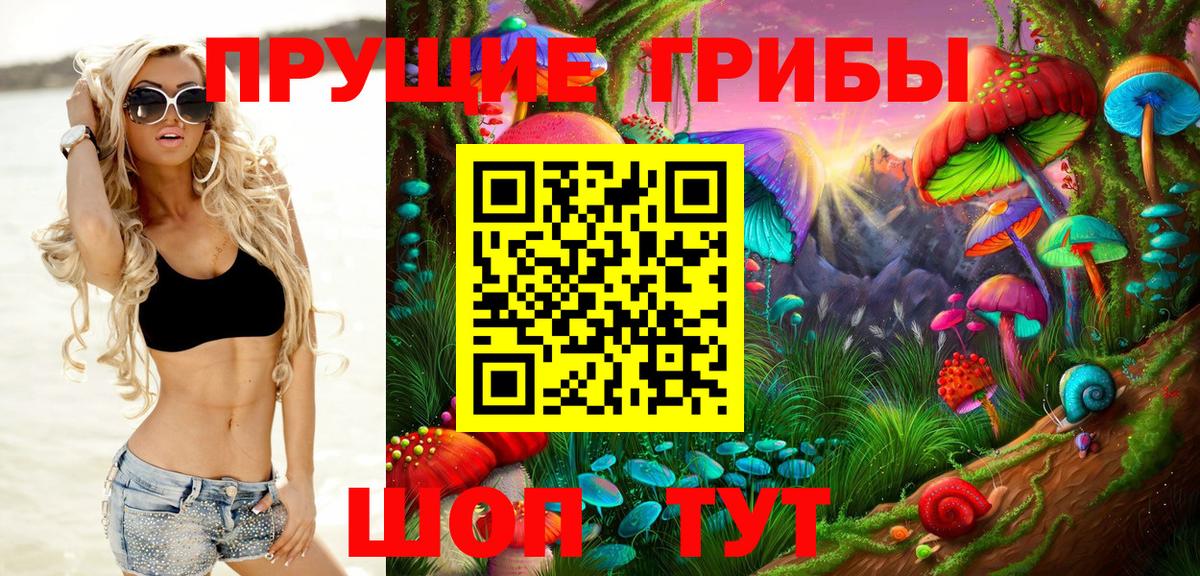 Псилоцибиновые грибы GOLDEN TEACHER Лесной