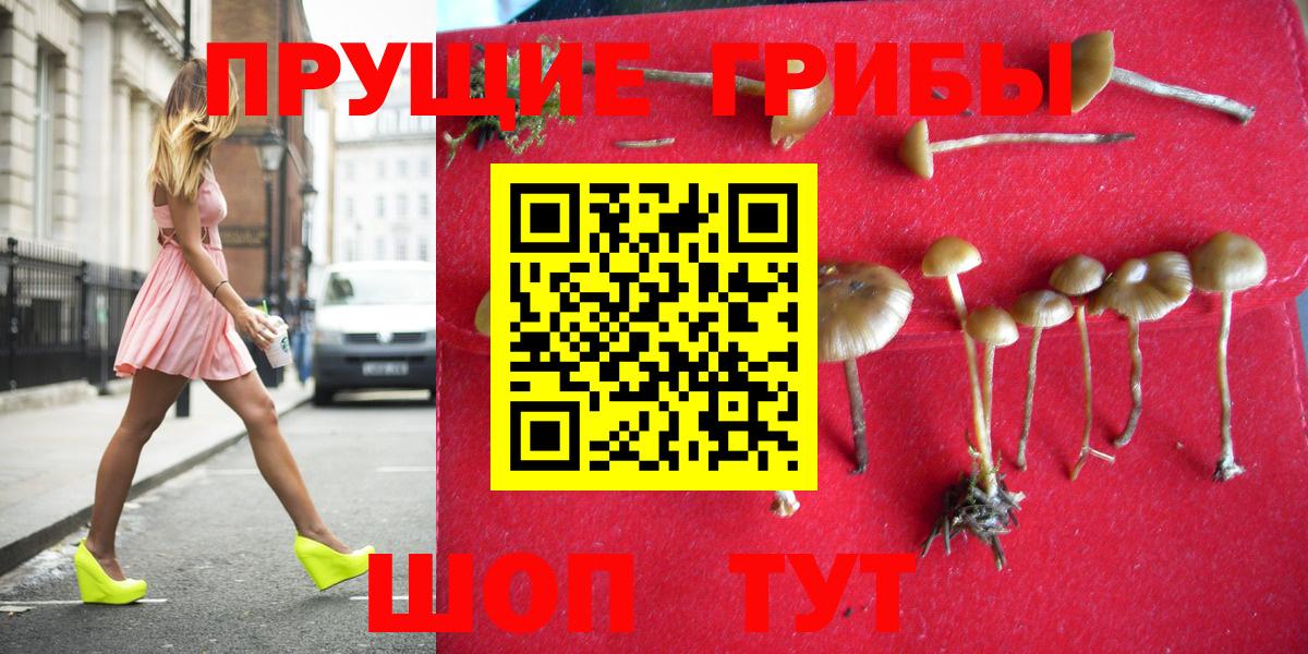 купить наркоту  Галлюциногенные грибы прущие грибы  Вход с VPN  Лесной 